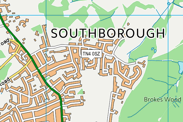TN4 0SZ map - OS VectorMap District (Ordnance Survey)