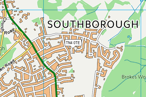 TN4 0TE map - OS VectorMap District (Ordnance Survey)