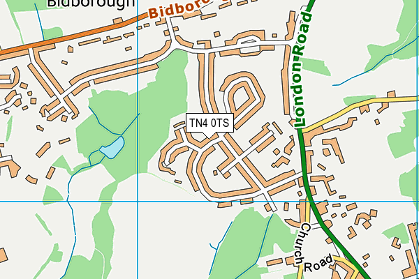 TN4 0TS map - OS VectorMap District (Ordnance Survey)