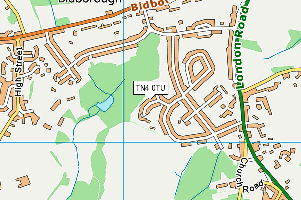 TN4 0TU map - OS VectorMap District (Ordnance Survey)