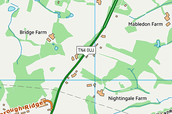 TN4 0UJ map - OS VectorMap District (Ordnance Survey)