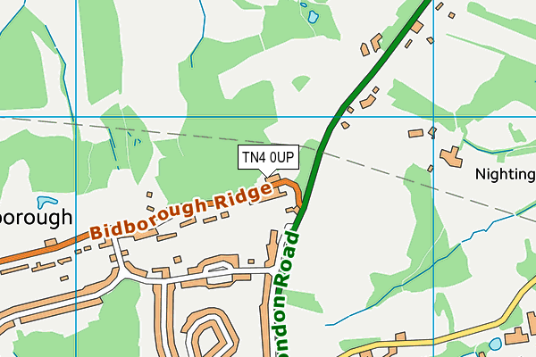 TN4 0UP map - OS VectorMap District (Ordnance Survey)