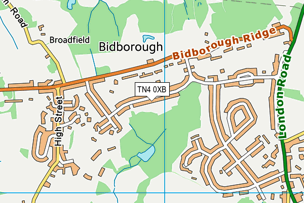 TN4 0XB map - OS VectorMap District (Ordnance Survey)