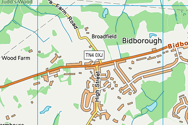 TN4 0XJ map - OS VectorMap District (Ordnance Survey)