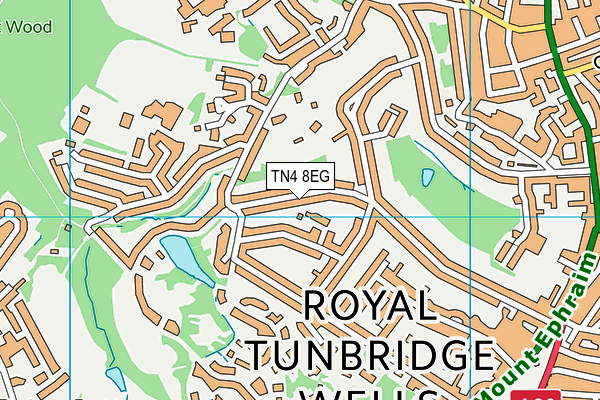 TN4 8EG map - OS VectorMap District (Ordnance Survey)