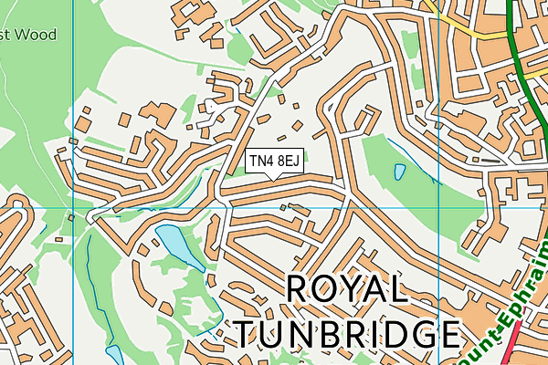 TN4 8EJ map - OS VectorMap District (Ordnance Survey)