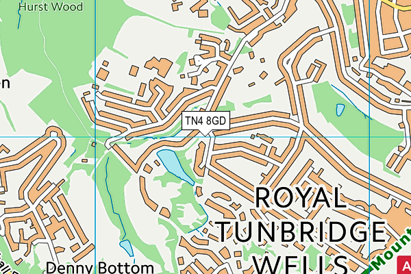 TN4 8GD map - OS VectorMap District (Ordnance Survey)