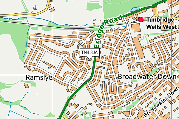 TN4 8JA map - OS VectorMap District (Ordnance Survey)
