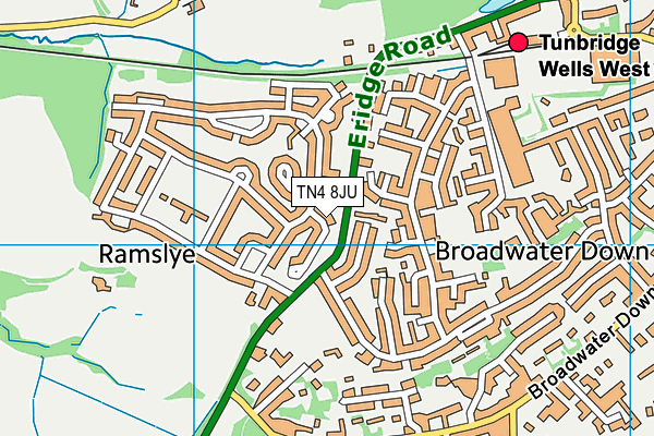 TN4 8JU map - OS VectorMap District (Ordnance Survey)