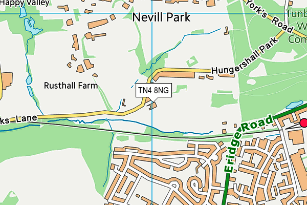 TN4 8NG map - OS VectorMap District (Ordnance Survey)