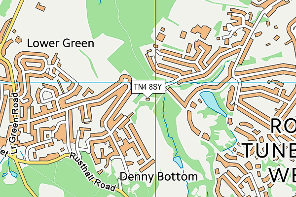 TN4 8SY map - OS VectorMap District (Ordnance Survey)
