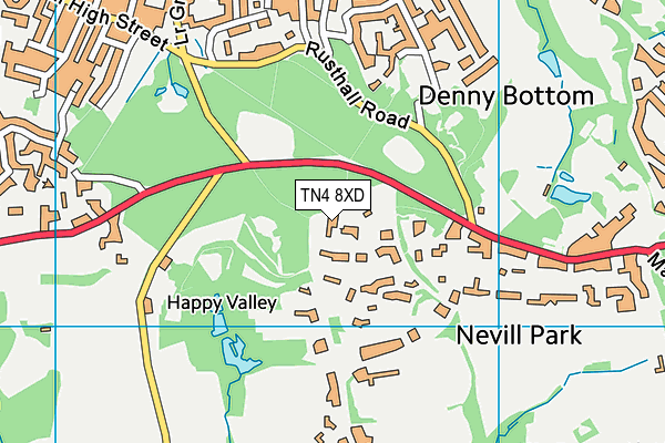 TN4 8XD map - OS VectorMap District (Ordnance Survey)