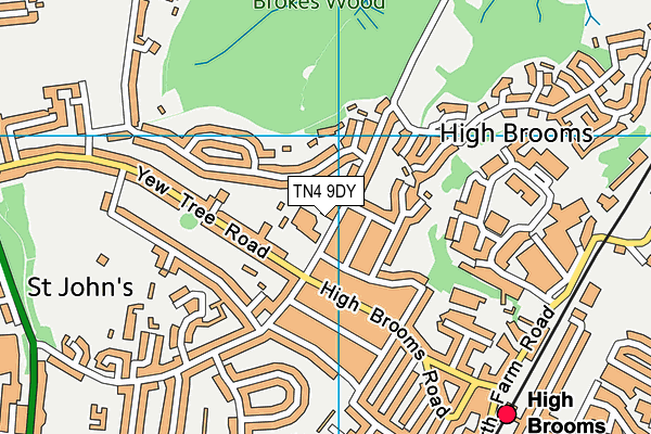 St Matthew's High Brooms C Of E Primary School map (TN4 9DY) - OS VectorMap District (Ordnance Survey)