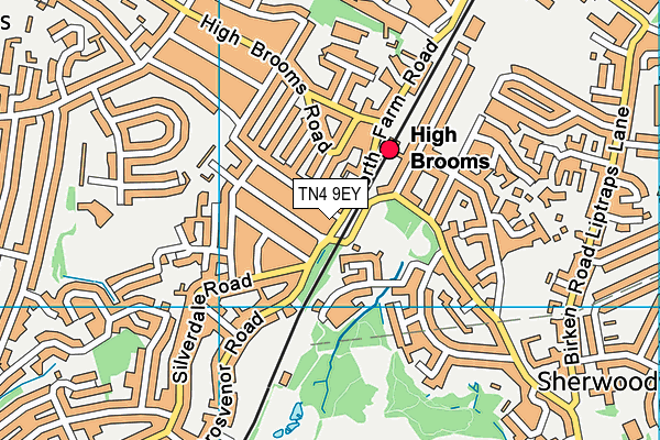 TN4 9EY map - OS VectorMap District (Ordnance Survey)