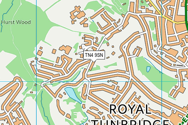 TN4 9SN map - OS VectorMap District (Ordnance Survey)