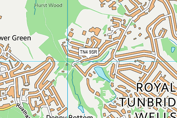 TN4 9SR map - OS VectorMap District (Ordnance Survey)