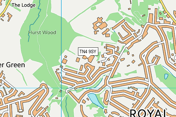 Rose Hill School map (TN4 9SY) - OS VectorMap District (Ordnance Survey)
