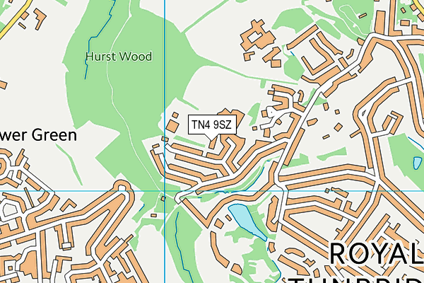 TN4 9SZ map - OS VectorMap District (Ordnance Survey)