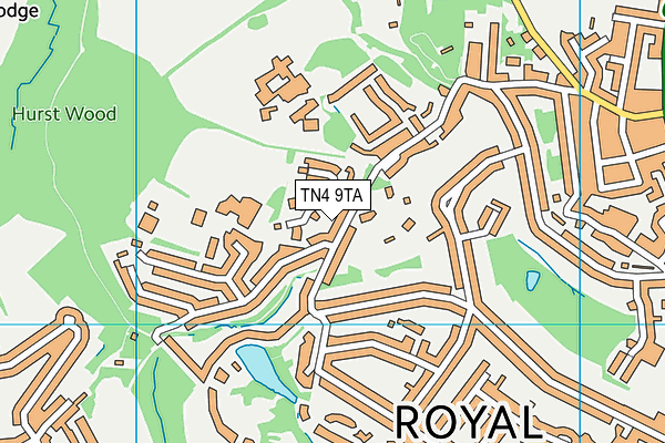 TN4 9TA map - OS VectorMap District (Ordnance Survey)