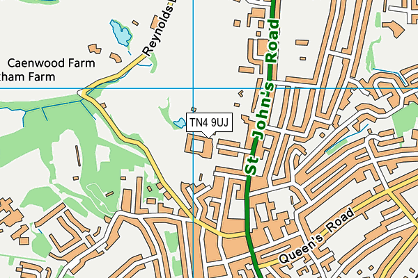 Tunbridge Wells Girls Grammar School map (TN4 9UJ) - OS VectorMap District (Ordnance Survey)