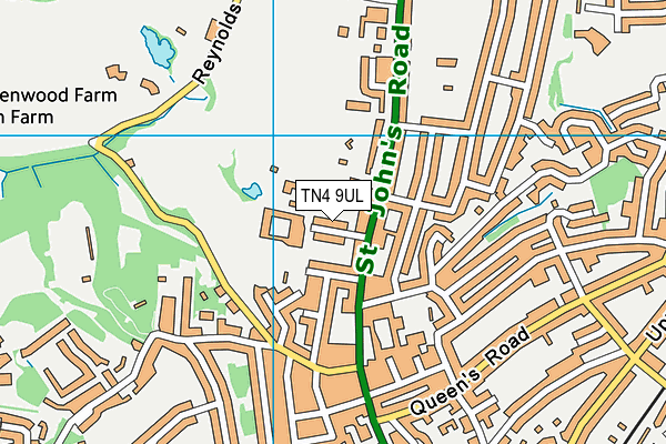 TN4 9UL map - OS VectorMap District (Ordnance Survey)