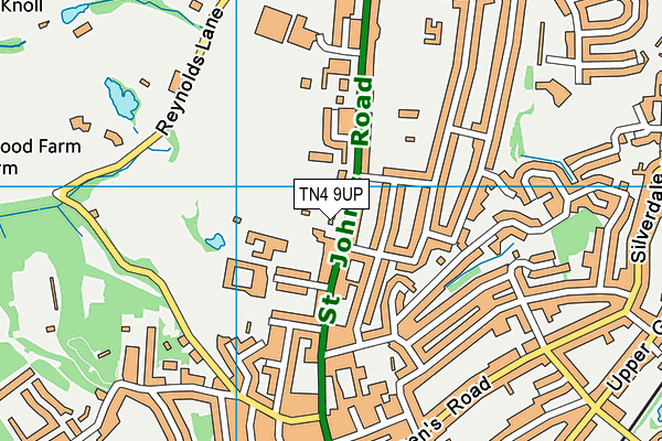 TN4 9UP map - OS VectorMap District (Ordnance Survey)