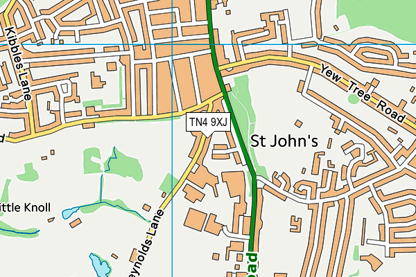 TN4 9XJ map - OS VectorMap District (Ordnance Survey)