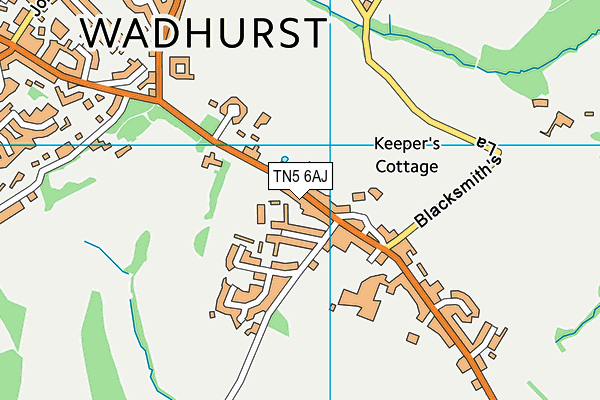 TN5 6AJ map - OS VectorMap District (Ordnance Survey)