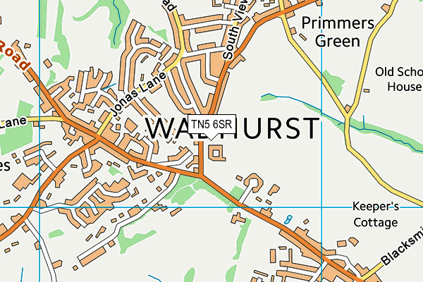 Wadhurst Cofe Primary School map (TN5 6SR) - OS VectorMap District (Ordnance Survey)