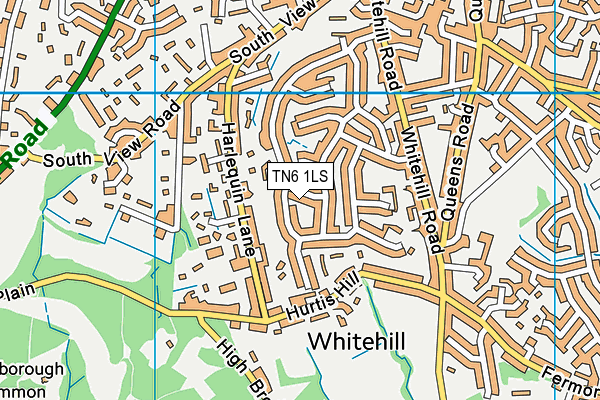 TN6 1LS map - OS VectorMap District (Ordnance Survey)
