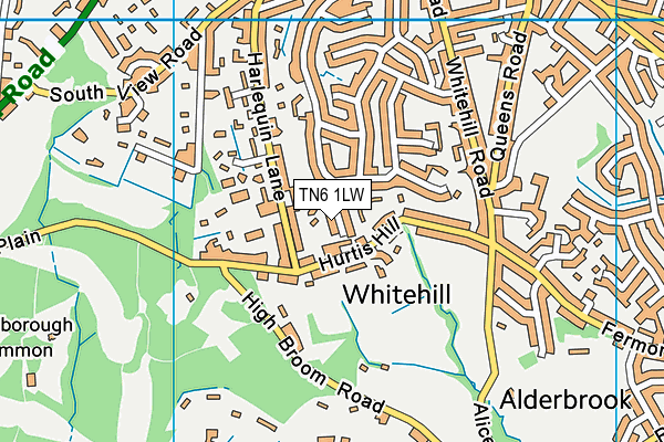 TN6 1LW map - OS VectorMap District (Ordnance Survey)