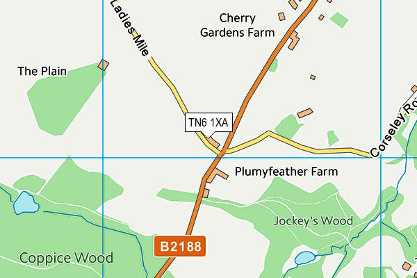 TN6 1XA map - OS VectorMap District (Ordnance Survey)