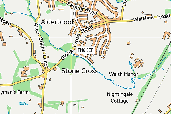 TN6 3EF map - OS VectorMap District (Ordnance Survey)