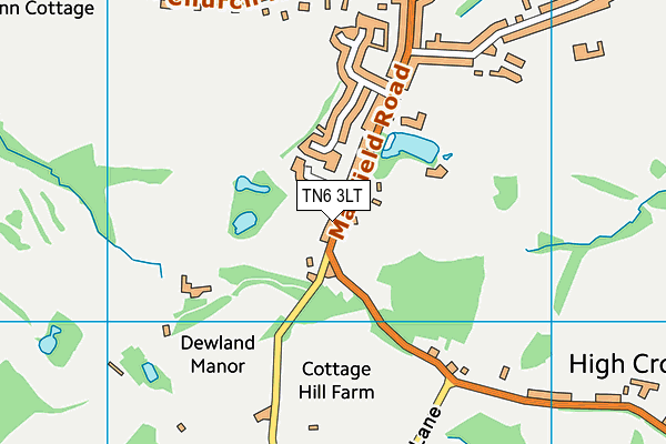 TN6 3LT map - OS VectorMap District (Ordnance Survey)