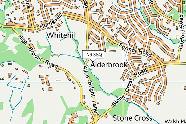 TN6 3SQ map - OS VectorMap District (Ordnance Survey)