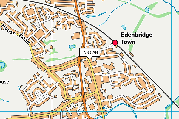 Edenbridge Primary School map (TN8 5AB) - OS VectorMap District (Ordnance Survey)