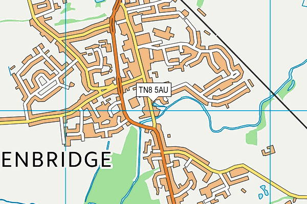 TN8 5AU map - OS VectorMap District (Ordnance Survey)