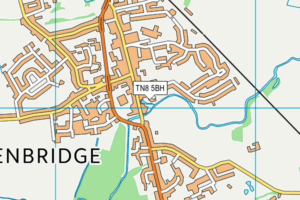 TN8 5BH map - OS VectorMap District (Ordnance Survey)