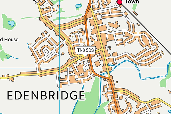 TN8 5DS map - OS VectorMap District (Ordnance Survey)
