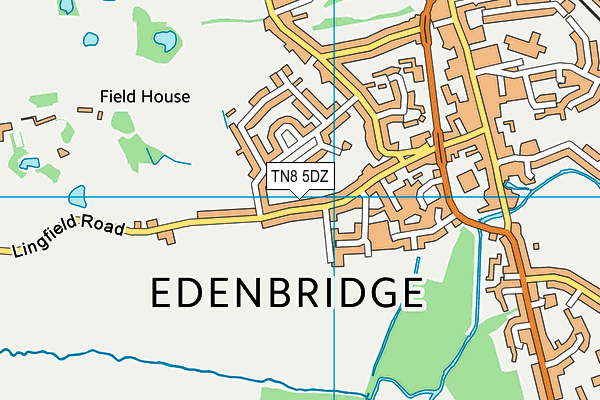 TN8 5DZ map - OS VectorMap District (Ordnance Survey)