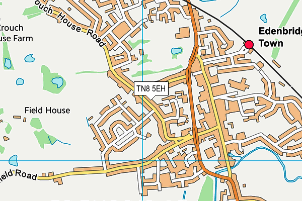 TN8 5EH map - OS VectorMap District (Ordnance Survey)