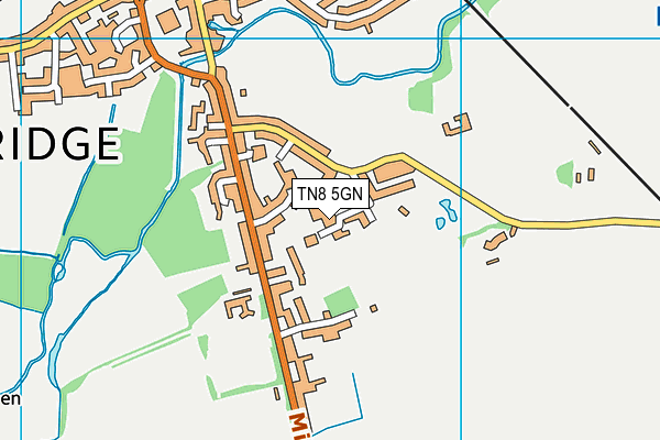 TN8 5GN map - OS VectorMap District (Ordnance Survey)