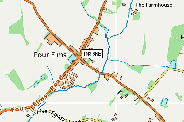 Four Elms Primary School map (TN8 6NE) - OS VectorMap District (Ordnance Survey)
