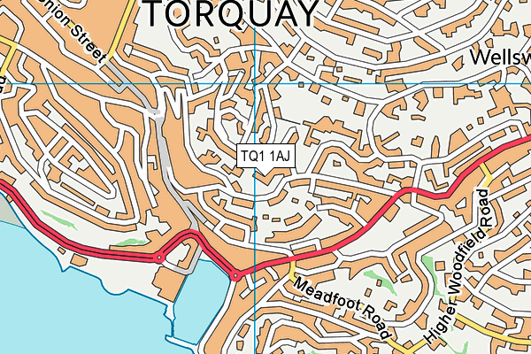 TQ1 1AJ map - OS VectorMap District (Ordnance Survey)