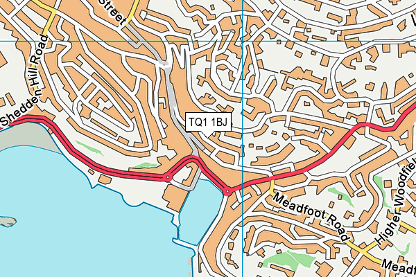 TQ1 1BJ map - OS VectorMap District (Ordnance Survey)