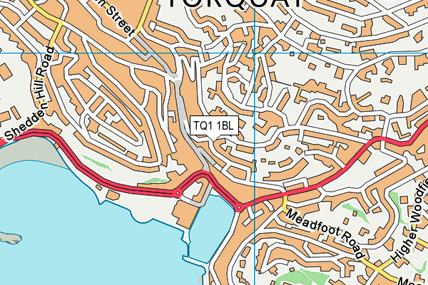 TQ1 1BL map - OS VectorMap District (Ordnance Survey)