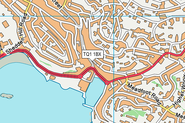 TQ1 1BX map - OS VectorMap District (Ordnance Survey)