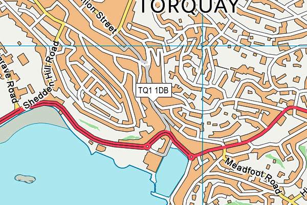 TQ1 1DB map - OS VectorMap District (Ordnance Survey)