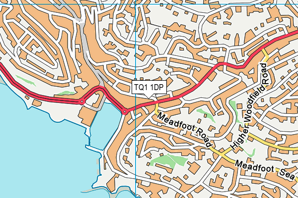 TQ1 1DP map - OS VectorMap District (Ordnance Survey)
