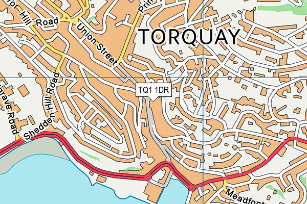 TQ1 1DR map - OS VectorMap District (Ordnance Survey)
